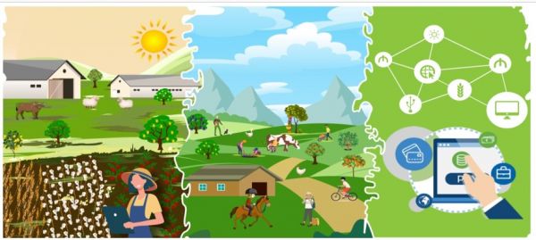 Downloadable Brochure on Twinning Project achievements.